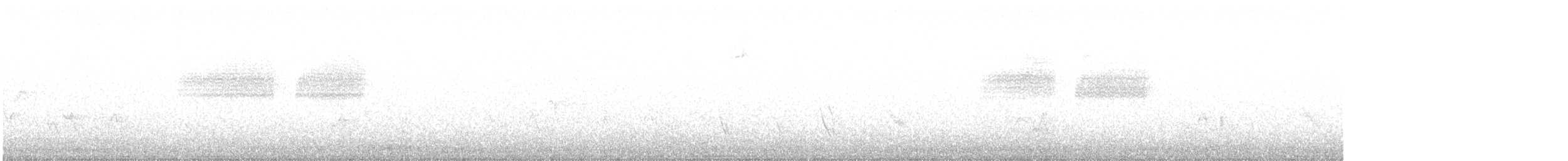 grånakkespurv - ML241192561