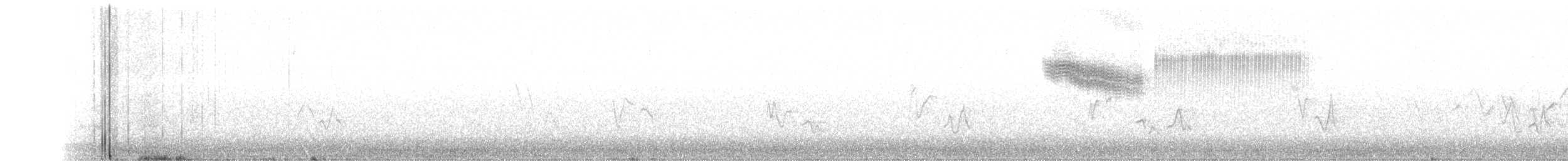 Голубокрылая червеедка - ML241197821