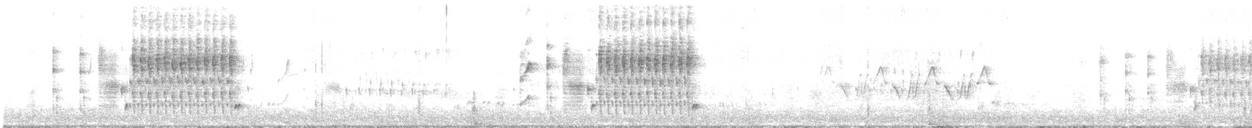 Troglodyte des marais (groupe palustris) - ML241208261