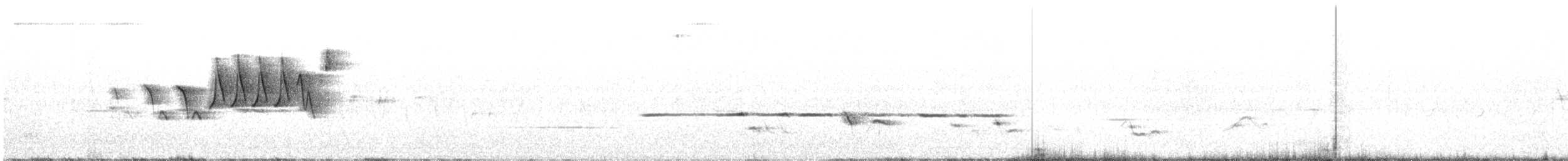 Yellow Warbler (Northern) - ML241213801