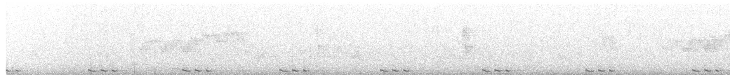 Black-billed Cuckoo - ML241224521