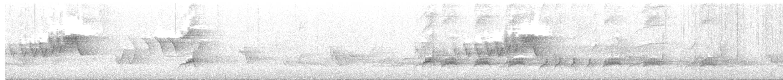 Cerulean Warbler - ML241224551