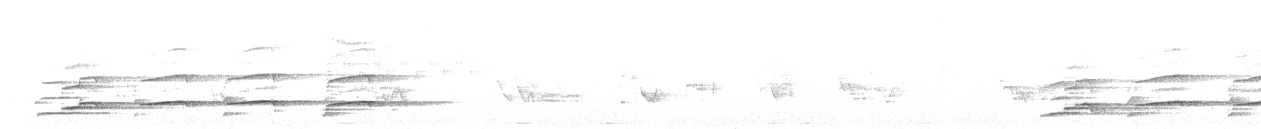 Белоголовый орлан - ML241234231