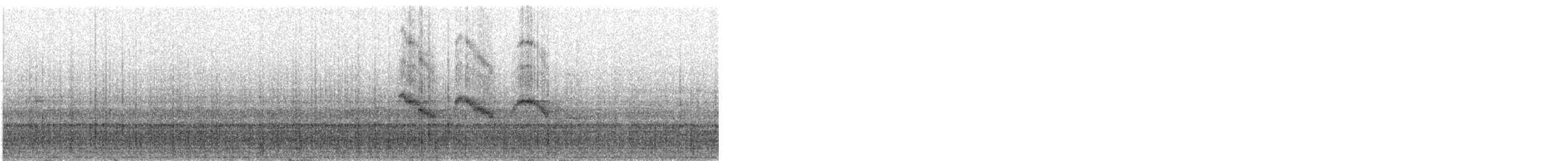 Серогрудый мухолов - ML241247