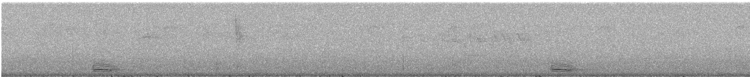 Момот широкодзьобий [група platyrhynchum] - ML241250