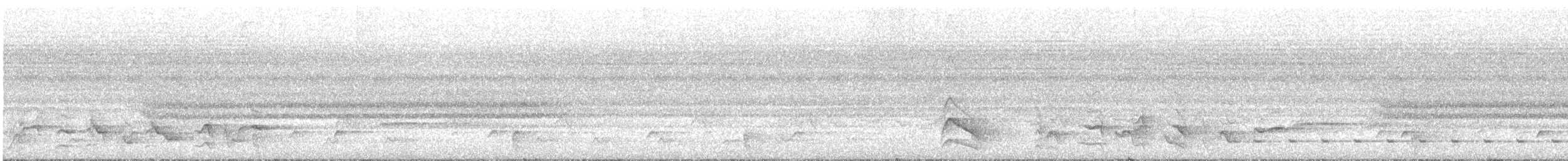 Bulbul bruyant - ML24125451
