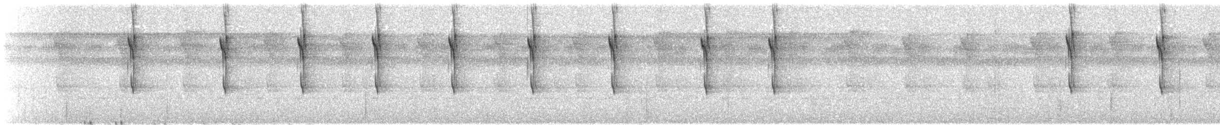 Длиннохвостый колибри-отшельник - ML241262251