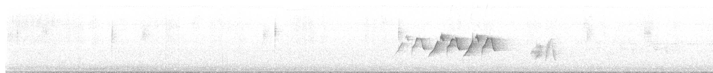 キタメジロハエトリ - ML241272431