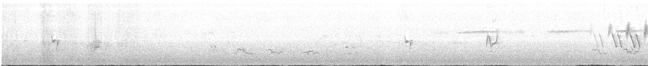 Dusky Flycatcher - ML241277651