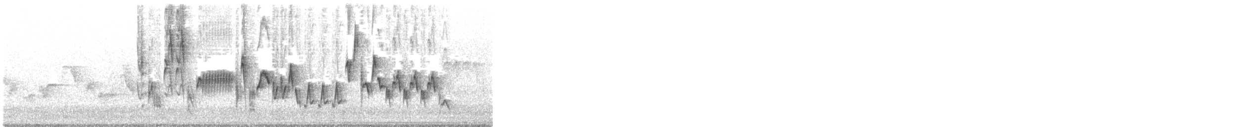 Northern House Wren (Northern) - ML241286081