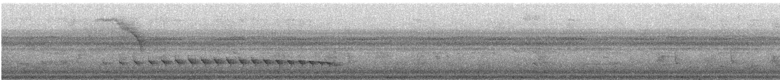 コバシヒメアリサザイ（obscura） - ML241294
