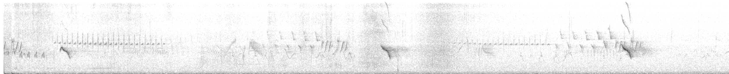 gulbrynkjernebiter (type 1) - ML241301511