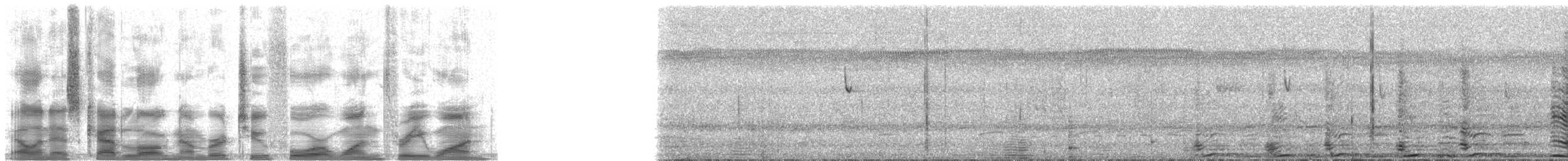 Chajá Añuma - ML24131