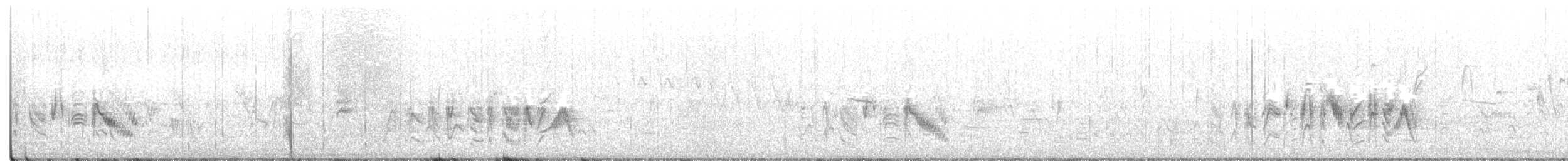 Bell's Vireo - ML241321401