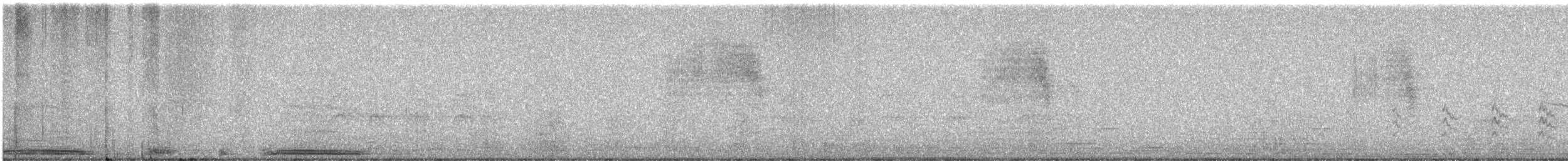 Spot-winged Pigeon - ML241332781