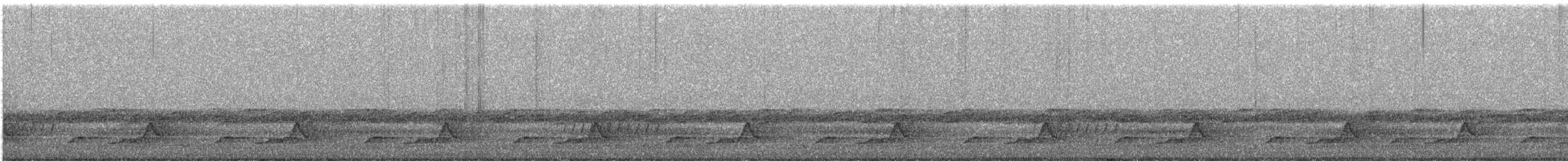Schwarzkehl-Nachtschwalbe - ML241337001