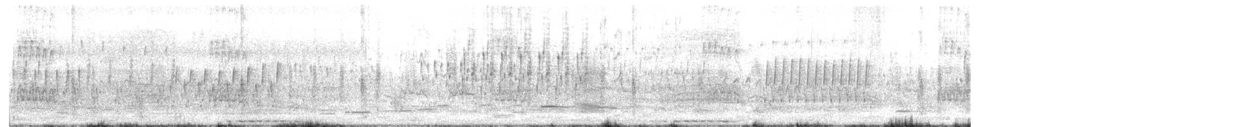 pygmérørdrum - ML241354941
