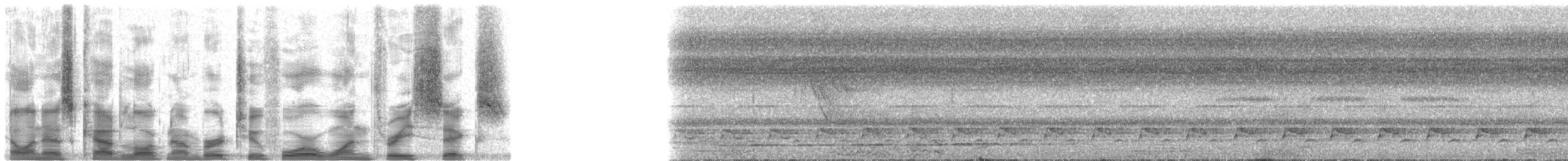 Лінивка-чорнопер червонодзьоба - ML24136