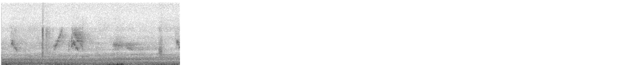 Willow Flycatcher - ML241364271