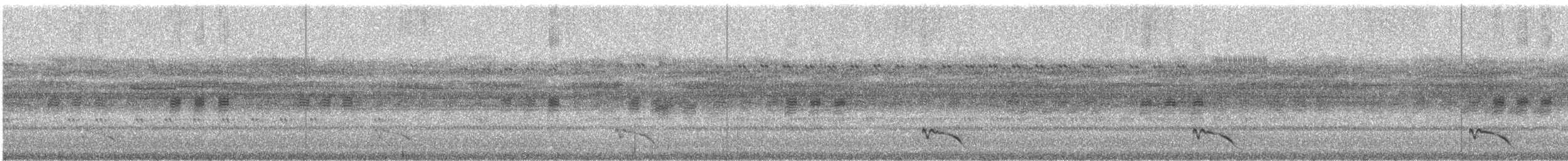 Ecuadornachtschwalbe - ML241398