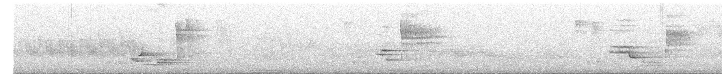 Wood Thrush - ML241402071