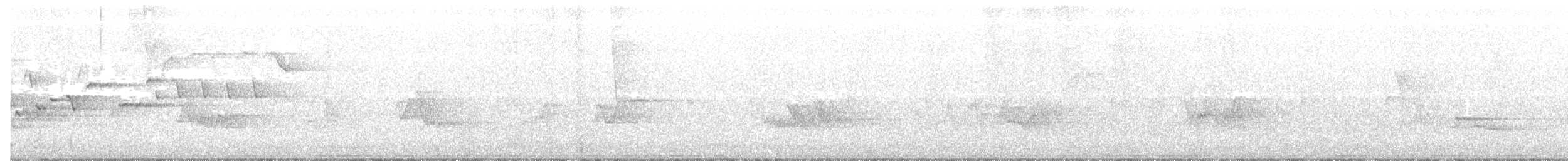 Winter Wren - ML241426971