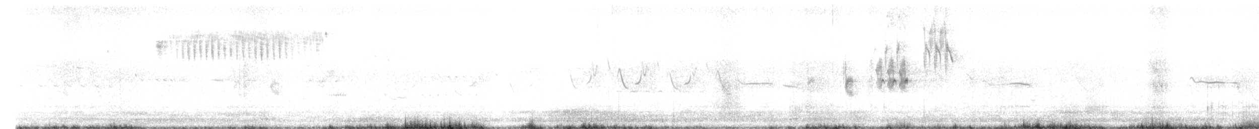 Кузнечиковая овсянка-барсучок - ML241451381