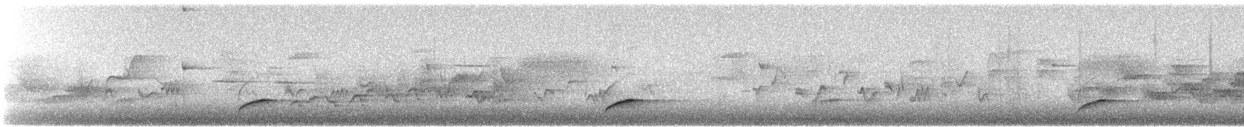 Дрізд-короткодзьоб Cвенсона [група ustulatus] - ML241451791