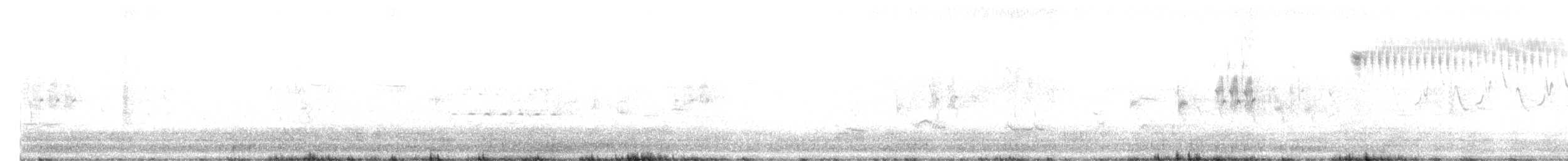 Кузнечиковая овсянка-барсучок - ML241453091