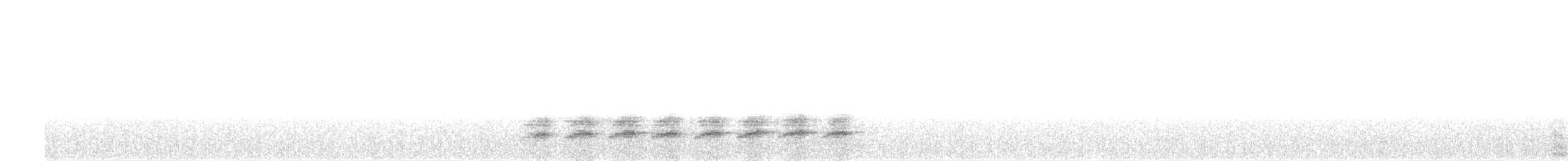 Дятел-смугань білогорлий - ML241466101