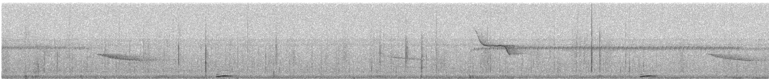 Merle de Reeve - ML241474