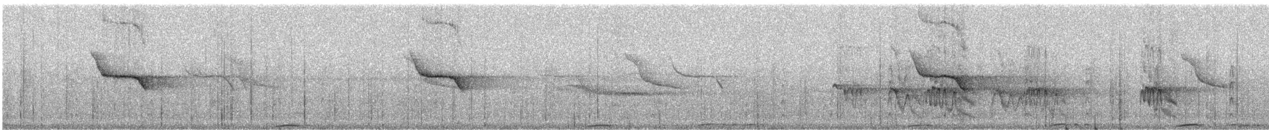 Merle de Reeve - ML241475