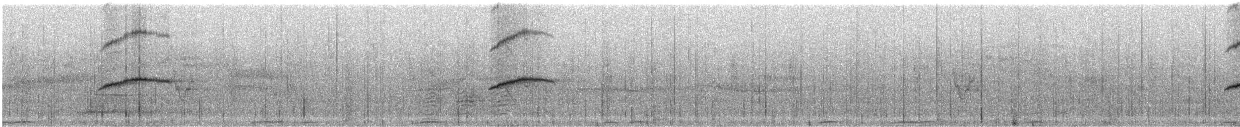 Merle de Reeve - ML241484