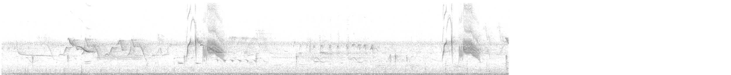 tyranovec vrbový - ML241489821