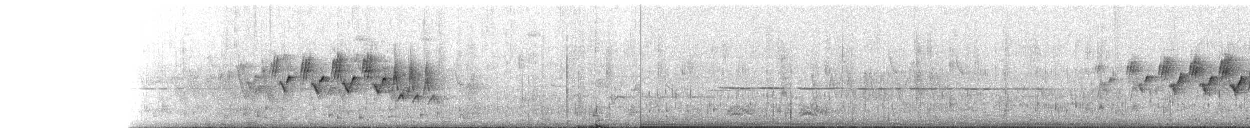 kjerrparula - ML241490271