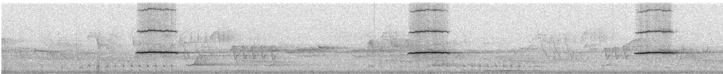 Merle de Reeve - ML241497