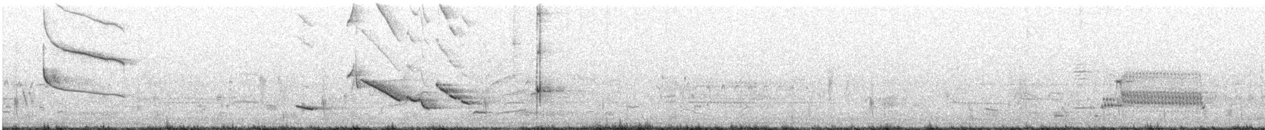 Chihuahuan Meadowlark - ML241500841