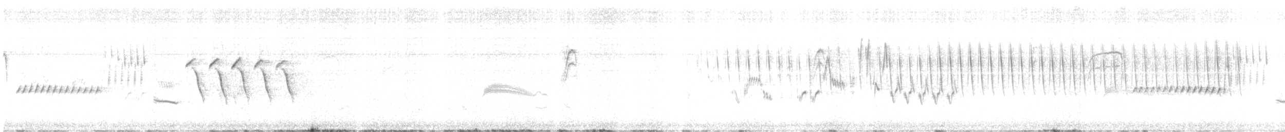Bewick's Wren - ML241511061