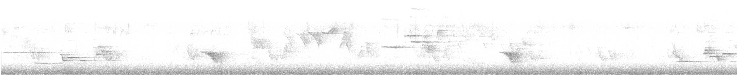 Münzevi Bülbül Ardıcı - ML241516001