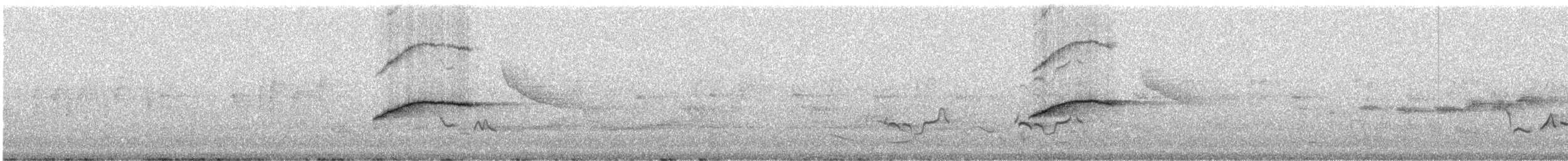 Merle de Reeve - ML241520