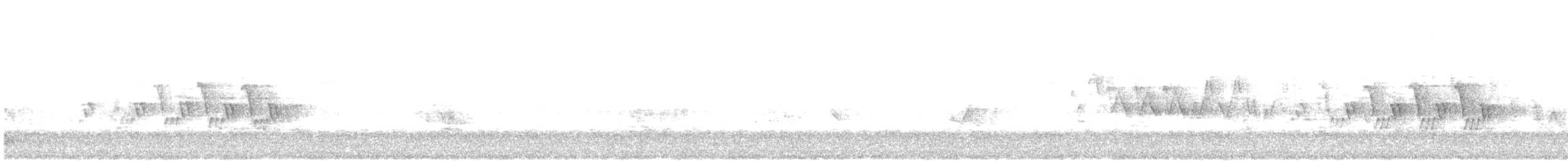 Черногорлая хвойница - ML241521651