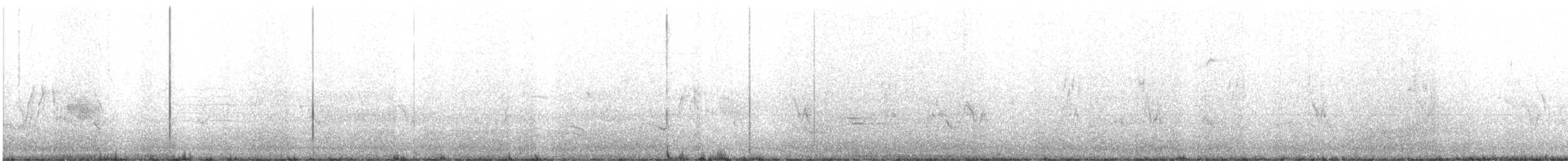 tyranovec vrbový - ML241536471