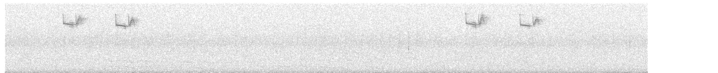 Ariane à ventre gris - ML241538021