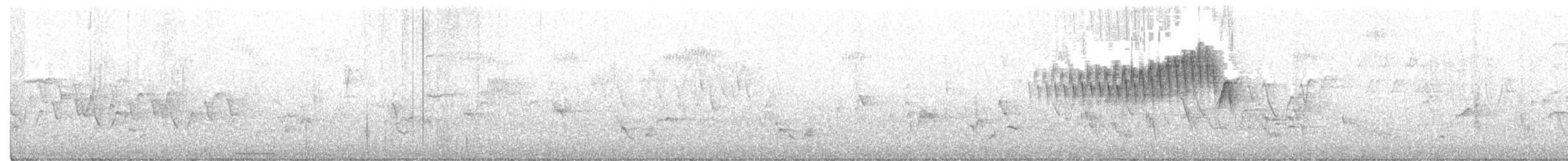 Northern Parula - ML241539461