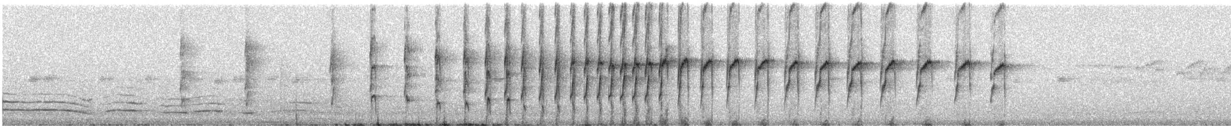 Olivrücken-Baumschlüpfer (antisiensis/palamblae) - ML241543