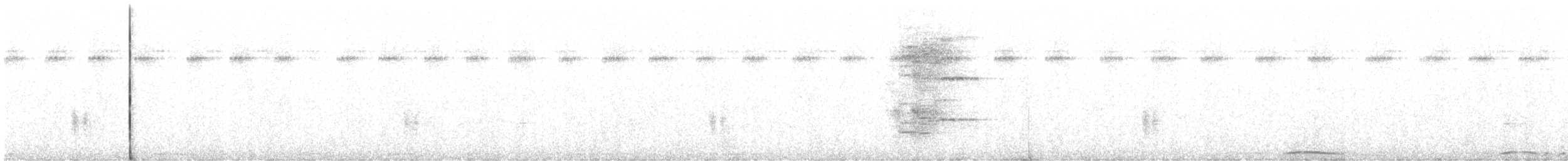 holub antilský - ML241543231