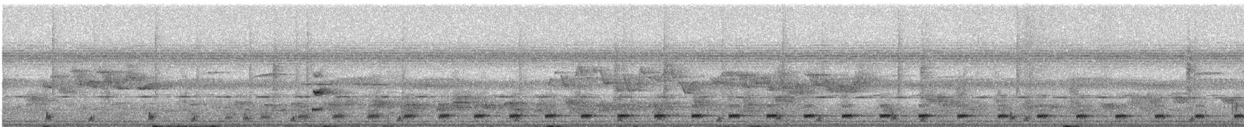 Goldbürzel-Bartvogel - ML24154981