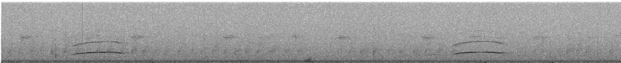 Boz Başlı Sinekkapan (nigriceps/atriceps) - ML241551
