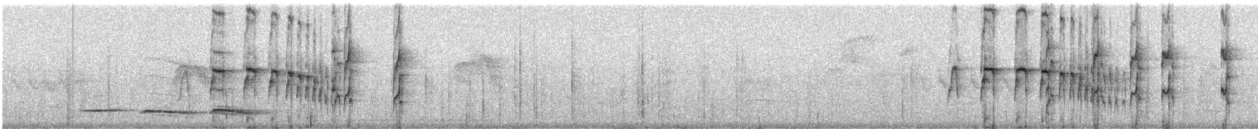 Olivrücken-Baumschlüpfer (antisiensis/palamblae) - ML241555