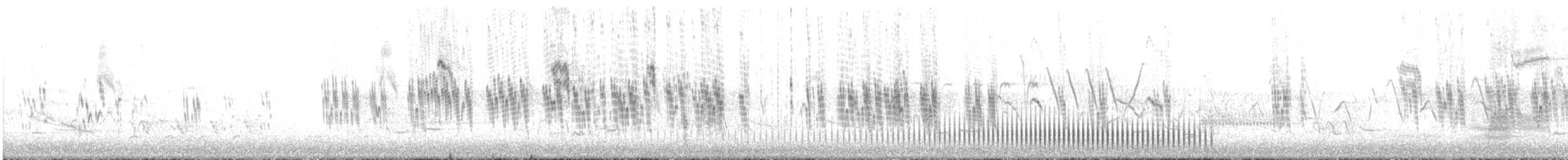 Tree Swallow - ML241557791